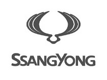 Втулки и сайлентблоки Ssang Yong